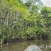 lake_mandicocha_la_h_0183_ecu0886.jpg